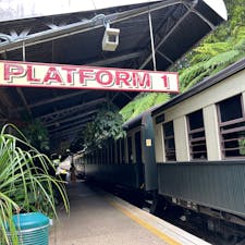 〰️Australia🇦🇺〰️
#kuranda#kurandarailwaystation