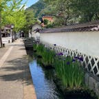 島根　津和野　殿町通り

山陰の小京都
水路にたくさんの鯉が
優雅に泳いでいます。
