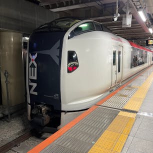 2023年5月31日(水)
いざ成田空港へ🚃

#成田エクスプレス #N'EX #E259系 #JR東日本 #新宿駅
#東京 #電車 #鉄道