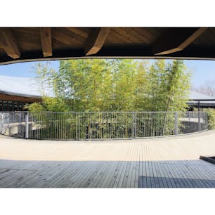 高知　牧野植物園

高知県出身の植物分類学者
牧野富太郎さんの植物園

NHK連続テレビ小説
らんまんの主人公

内藤廣さん設計