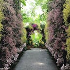 高知　牧野植物園

たくさんの植物やお花に
出会えます。