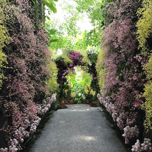 高知県立牧野植物園