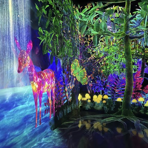 チームラボフォレスト福岡