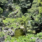 沖縄県北部にある大石林山へ行きました。
青々としたヤンバルがとても綺麗でした🌳
#大石林山
#沖縄県国頭郡国頭村