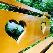 楊谷寺のベンチはハート♡
幸せになりますように✨