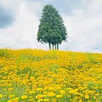 三重　メナード青山リゾート
ハーブガーデン

たくさんのお庭の
それぞれの花が
ちがった景色を見せて
くれました。