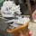 江ノ島で食べた「しらすソフト」
シラスのしょっぱさとソフトクリームの甘さがマッチして、見た目より美味しい😋

暑い日の江ノ島観光にいかがでしょうか。

#しらす#しらすソフト#江ノ島#江の島#ソフトクリーム