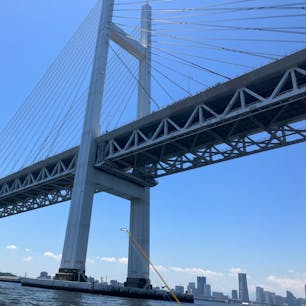 横浜港で友達の船釣り、ベイブリッジ下と大型客船泊まってたよ、暑いけど風が気持ち良い、。