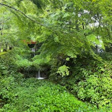 #京都
#大原三千院
#しとしと雨降り