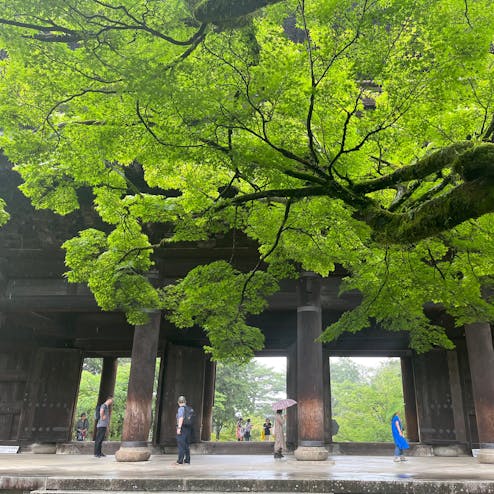 下鴨・北白川・平安神宮