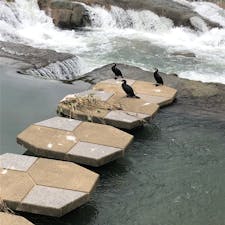 嬉野温泉