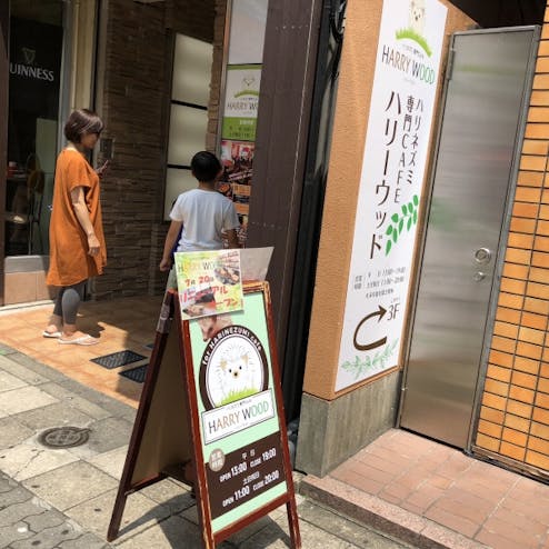 ハリネズミ専門cafe ハリーウッド