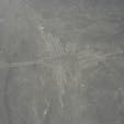 ナスカの地上絵
セスナ遊覧飛行で上空から全容を見ることができます。
けっこう小さなセスナでスリルも味わえるかも？！