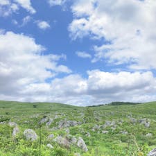 山口　秋吉台

青と白と緑の景色