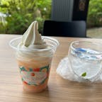 山梨  旅の駅のピーチフロート
びっくりする味