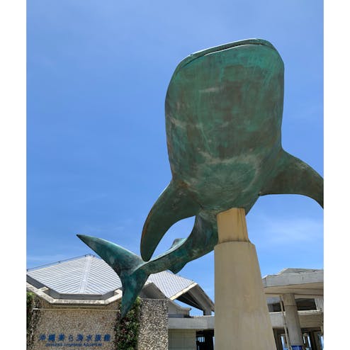 沖縄美ら海水族館