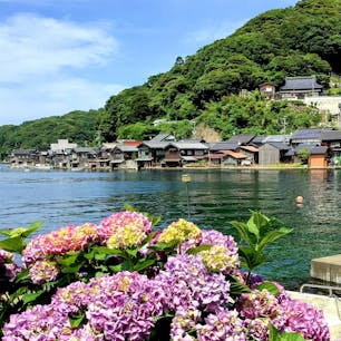 京都
伊根の舟屋

アジサイと舟屋

重要伝統的建造物群保存地区