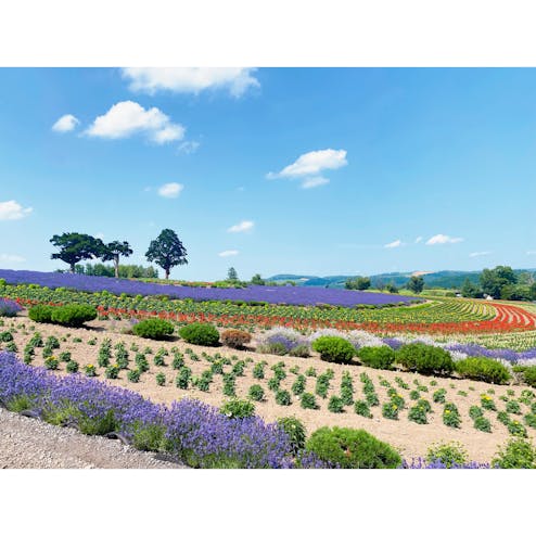 ぜるぶの丘・亜斗夢の丘