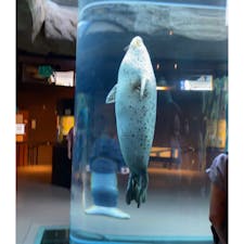 旭山動物園　旭川　北海道