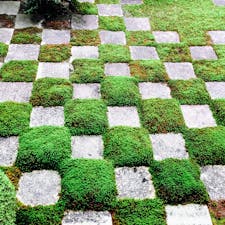 京都　東福寺

緑の東福寺も良い感じ