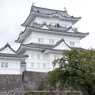 神奈川県西部にある名城・小田原城！
北条家ゆかりの難攻不落の城では常磐木門をはじめ、天守閣では北条家に関する資料やういろうについて学べるほか、展望スポットでは箱根や相模湾の景色も楽しめますよ♪

#神奈川 #小田原 #小田原城 #天守閣 #旅田サトシ