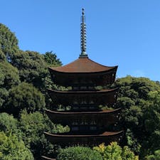 山口県 瑠璃光寺の五重の塔です
