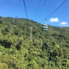 世界遺産 キュランダ🇦🇺
スカイレールにて