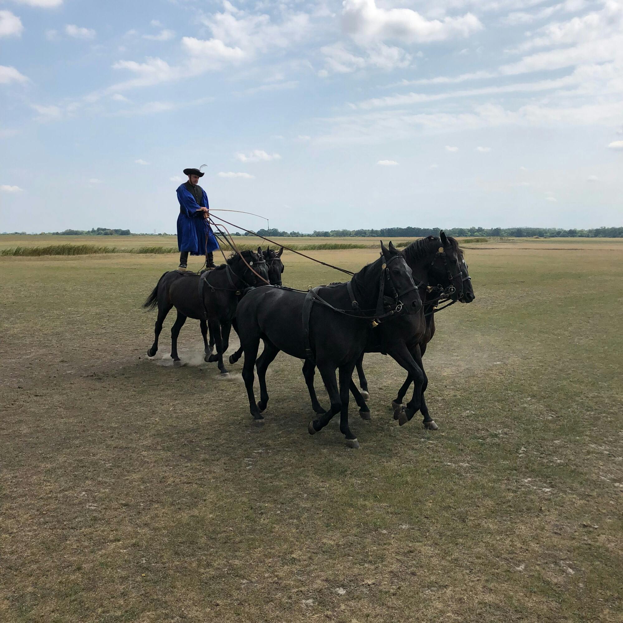 ホルトバージ国立公園 Hortobagy National Park の投稿写真 感想 みどころ ハンガリー ホルトバージ国立公園にて一度に5頭の馬を操る トリップノート ホルトバージ国立公園 Hortobagy National Park の投稿写真 感想 みどころ ハンガリー ホルトバージ国立公園にて一度に5頭の馬を操る トリップノート