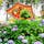 京都　三室戸寺

京都の一番の紫陽花スポット

西国三十三所観音巡礼
十番札所
