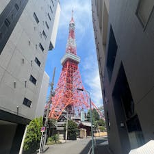 2023年6月17日(土)
昼間の東京タワー🗼

#東京タワー #電波塔 #東京 #観光名所