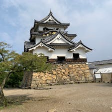 滋賀県の国宝「彦根城」に、初めて登ってみました。朝8時半の開門とともに入場。天守までは石段が続き、結構きついです。

櫓を見学したり、休憩しながら天守に到着。青い琵琶湖が眺められ、清々しい気分になりました。

途中、彦根城固有の植物「オオトックリイチゴ」の果実が実っていました。梅雨の時期に実をつけるナワシロイチゴによく似ています。