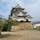 滋賀県の国宝「彦根城」に、初めて登ってみました。朝8時半の開門とともに入場。天守までは石段が続き、結構きついです。

櫓を見学したり、休憩しながら天守に到着。青い琵琶湖が眺められ、清々しい気分になりました。

途中、彦根城固有の植物「オオトックリイチゴ」の果実が実っていました。梅雨の時期に実をつけるナワシロイチゴによく似ています。