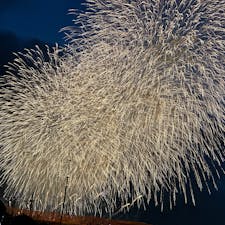 昨日は、足立の花火大会。
夏到来ですね。私は、1年で日本の三大花火に行くくらい、花火好きなので沢山見れるといいなと思います。
オススメは、大曲の昼花火です。

#花火
#firework
#hanabi