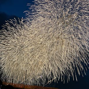 昨日は、足立の花火大会。
夏到来ですね。私は、1年で日本の三大花火に行くくらい、花火好きなので沢山見れるといいなと思います。
オススメは、大曲の昼花火です。

#花火
#firework
#hanabi
