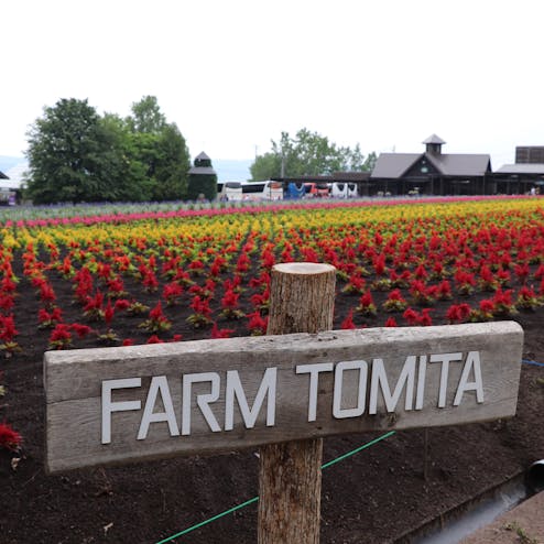 ファーム富田