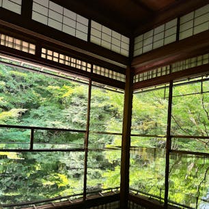 苔と青もみじのアートが美しい、京都・八瀬にある瑠璃光院。書院からの青もみじの景色はもちろん、庭園からも美しい風景を楽しめますよ♪

#京都 #八瀬 #瑠璃光院 #青もみじ #新緑 #旅田サトシ