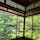 苔と青もみじのアートが美しい、京都・八瀬にある瑠璃光院。書院からの青もみじの景色はもちろん、庭園からも美しい風景を楽しめますよ♪

#京都 #八瀬 #瑠璃光院 #青もみじ #新緑 #旅田サトシ