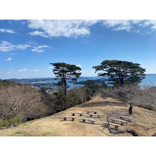 西行戻しの松公園
#202303 #s宮城