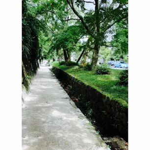 坂本の街並み　滋賀

地元の子供たちが虫取りや魚取りに来ている姿が微笑ましい。
大きな道路の傍ですがメダカらしき魚が泳いでいます。