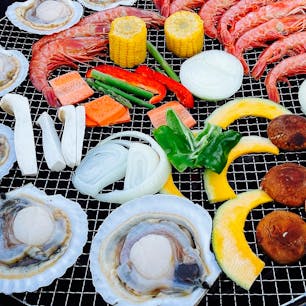 豊洲にある「WILD MAGIC」でバーベキュー！ビールも進みます！夏ですね！！シメは、作ってきたマシュマロを焼いてみました。

＃WILD MAGIC
＃バーベキュー
#豊洲