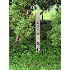 7/19
小杉の大杉

#山形
#天然記念物
#小杉の大杉
#トトロの木