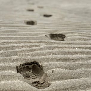 🔖香川県　父母ヶ浜

うどん県香川！
踏み心地がまるで低反発👣ずっと踏んでいたかったです☺️

📷2021  November