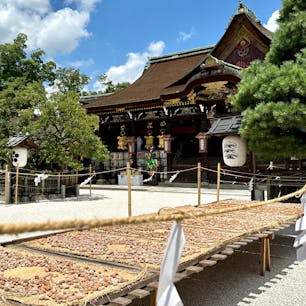京都
北野天満宮
梅の土用干し
6月に境内で採取された梅は、一旦樽に塩漬けされ、7月中旬から8月下旬にかけ樽から取り出し、カラカラになるまで約4週間天日干しにされます。
これがお正月の縁起物大福梅になるのですね。
