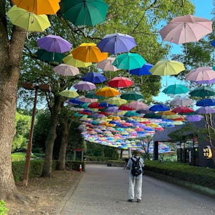 アンブレラスカイin館林