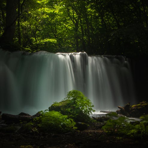 奥入瀬渓流
