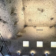 滋賀　ラコリーナ近江八幡

建物に入って天井に
驚いた

2階建バスもおしゃれ