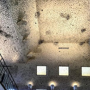 滋賀　ラコリーナ近江八幡

建物に入って天井に
驚いた

2階建バスもおしゃれ