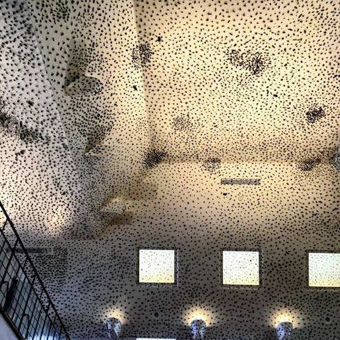 ラコリーナ近江八幡