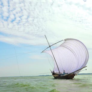 日本で2番目に広い湖、霞ヶ浦で夏から秋まで開催される観光帆引き船が、操業開始になりました。

今年の操業は、11月19日（日）までの毎週日曜日。




#茨城県 #霞ヶ浦 #帆引き船