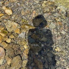 🔖和歌山県　猪谷川水辺公園

川がとてもきれいで大人も子どももにこにこ〜☺️🛟🏝️日暮らしが鳴いていて夏休みらしい！涼しいのがまたいいです

📷2023 August